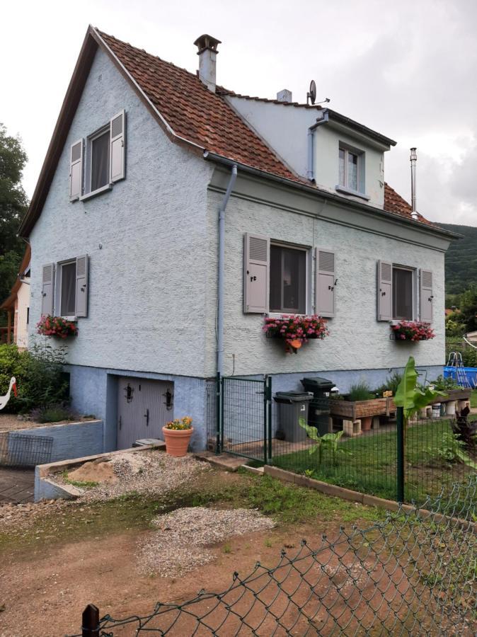 Gite Les Chiwawas D'Alsace Kaysersberg-Vignoble Buitenkant foto