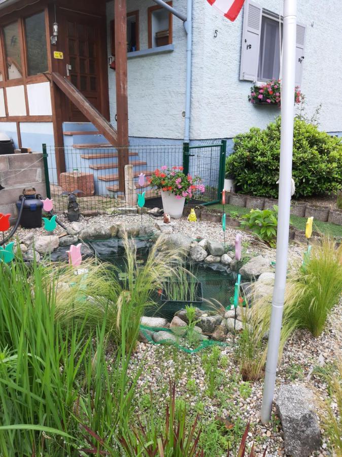 Gite Les Chiwawas D'Alsace Kaysersberg-Vignoble Buitenkant foto